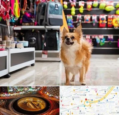 فروشگاه لوازم سگ در میدان ولیعصر