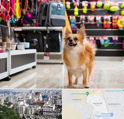 فروشگاه لوازم سگ در ولنجک 