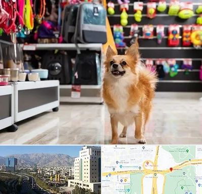 فروشگاه لوازم سگ در حقانی