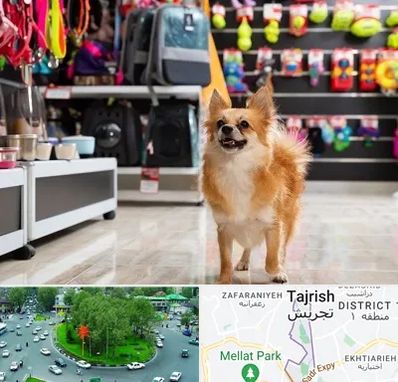 فروشگاه لوازم سگ در تجریش 