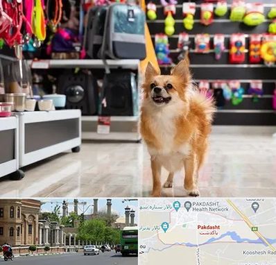 فروشگاه لوازم سگ در پاکدشت