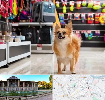 فروشگاه لوازم سگ در عفیف آباد شیراز