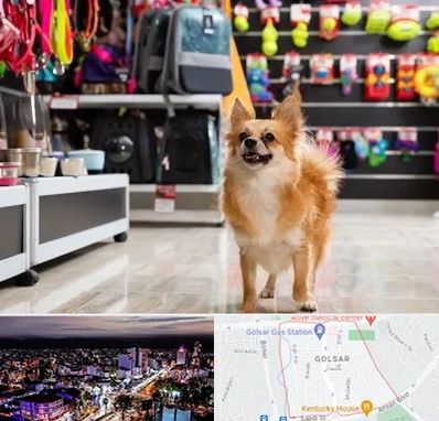 فروشگاه لوازم سگ در گلسار رشت