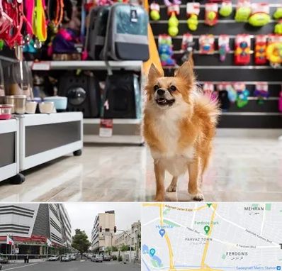 فروشگاه لوازم سگ در بلوار فردوس 