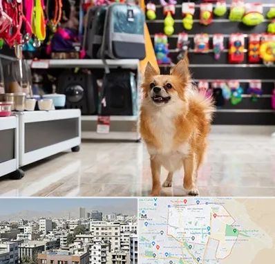 فروشگاه لوازم سگ در منطقه 14 تهران