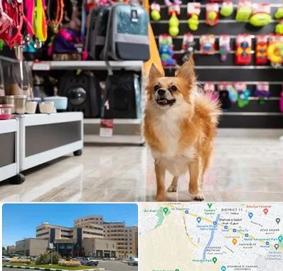 فروشگاه لوازم سگ در صیاد شیرازی مشهد