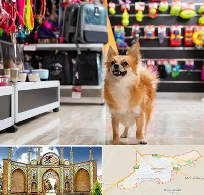 فروشگاه لوازم سگ در سمنان