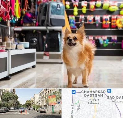 فروشگاه لوازم سگ در چهارصد دستگاه