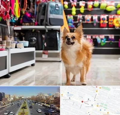 فروشگاه لوازم سگ در بلوار معلم مشهد