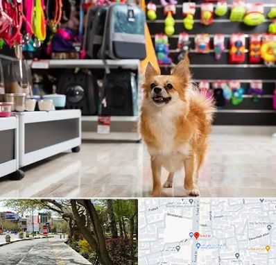 فروشگاه لوازم سگ در خیابان توحید اصفهان