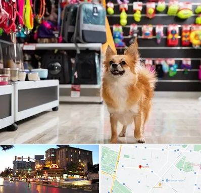 فروشگاه لوازم سگ در بلوار سجاد مشهد