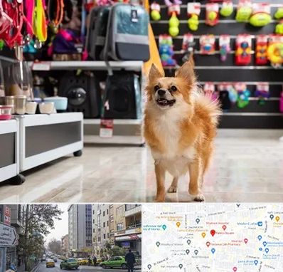 فروشگاه لوازم سگ در فاطمی