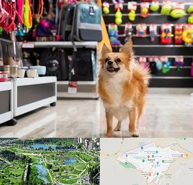 فروشگاه لوازم سگ در بجنورد