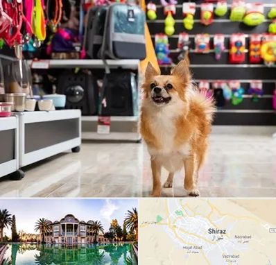 فروشگاه لوازم سگ در شیراز