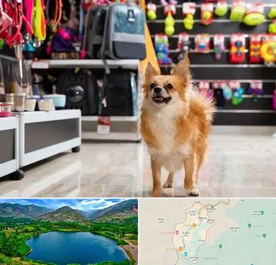 فروشگاه لوازم سگ در رودبار