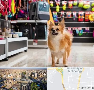 فروشگاه لوازم سگ در استاد معین 