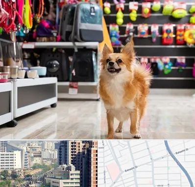 فروشگاه لوازم سگ در خیابان بهشتی