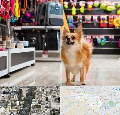 فروشگاه لوازم سگ در منطقه 18 تهران