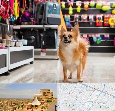 فروشگاه لوازم سگ در هاشمیه مشهد