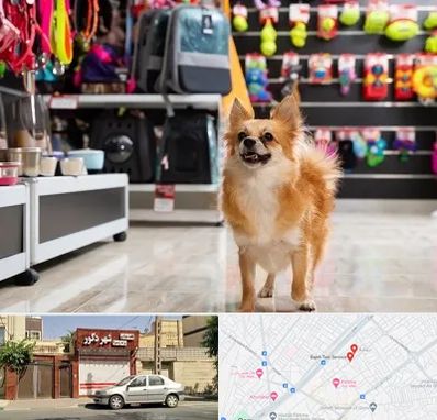 فروشگاه لوازم سگ در باجک قم