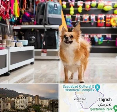 فروشگاه لوازم سگ در زعفرانیه