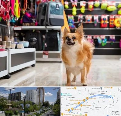 فروشگاه لوازم سگ در اندرزگو