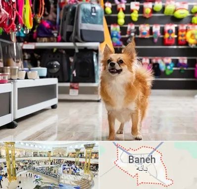 فروشگاه لوازم سگ در بانه