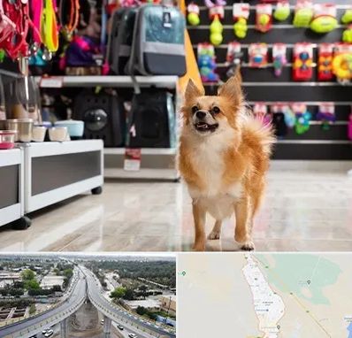 فروشگاه لوازم سگ در اندیمشک