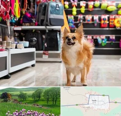 فروشگاه لوازم سگ در سراب