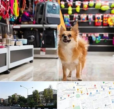 فروشگاه لوازم سگ در میدان کاج