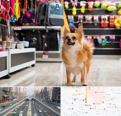 فروشگاه لوازم سگ در توحید