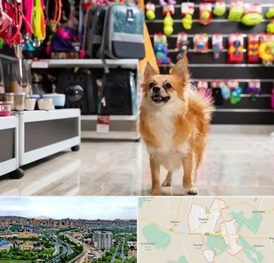 فروشگاه لوازم سگ در شهریار