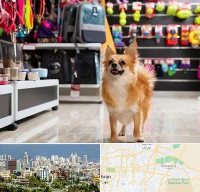 فروشگاه لوازم سگ در شرق تهران 