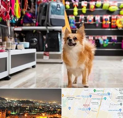 فروشگاه لوازم سگ در مارلیک کرج