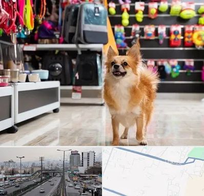 فروشگاه لوازم سگ در بلوار ارتش