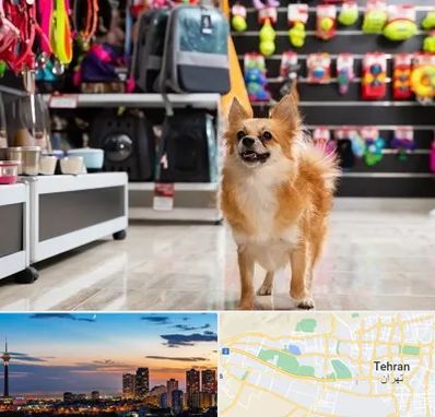 فروشگاه لوازم سگ در غرب تهران 