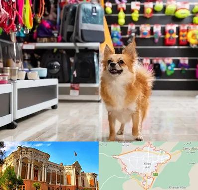 فروشگاه لوازم سگ در خوی