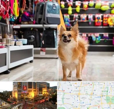 فروشگاه لوازم سگ در جنت آباد تهران 