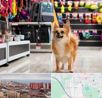 فروشگاه لوازم سگ در سهند تبریز