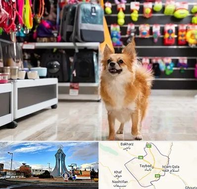 فروشگاه لوازم سگ در تایباد