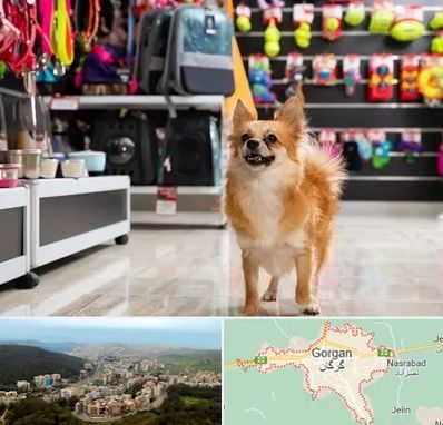 فروشگاه لوازم سگ در گرگان