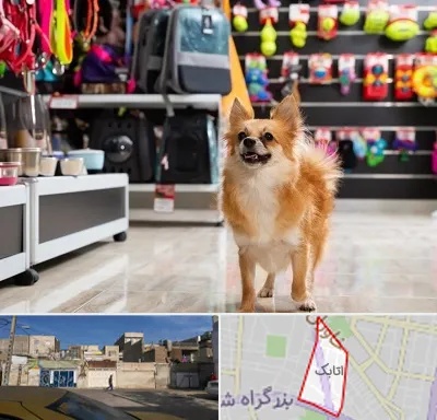 فروشگاه لوازم سگ در اتابک