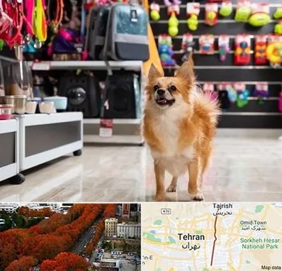 فروشگاه لوازم سگ در ولیعصر