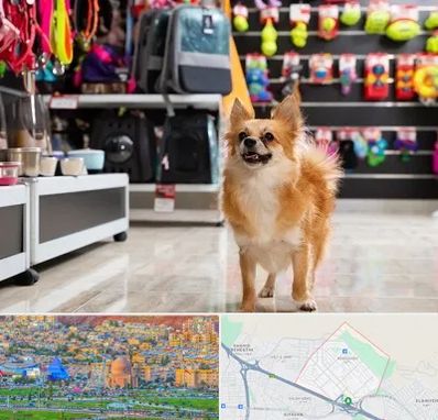 فروشگاه لوازم سگ در رشدیه تبریز