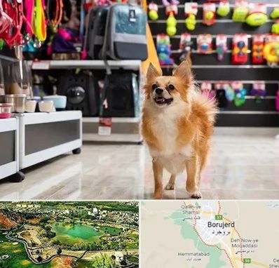 فروشگاه لوازم سگ در بروجرد