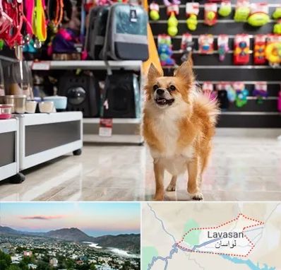 فروشگاه لوازم سگ در لواسان