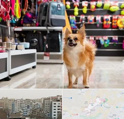 فروشگاه لوازم سگ در محمد شهر کرج