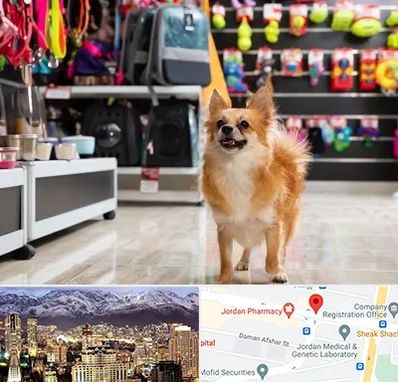 فروشگاه لوازم سگ در جردن