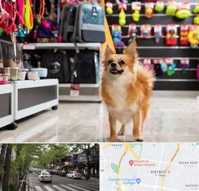 فروشگاه لوازم سگ در ظفر 