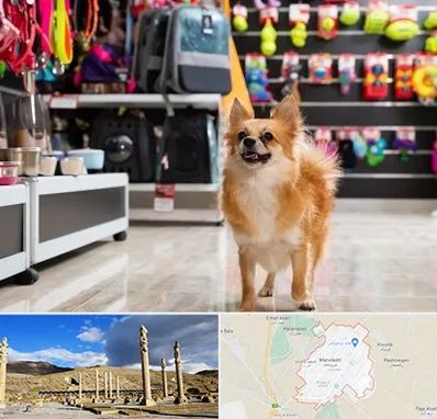 فروشگاه لوازم سگ در مرودشت